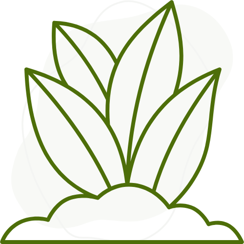 Création de vos espaces verts, un service de travaux paysagers à Bédarieux par Créa Entretien Jardin