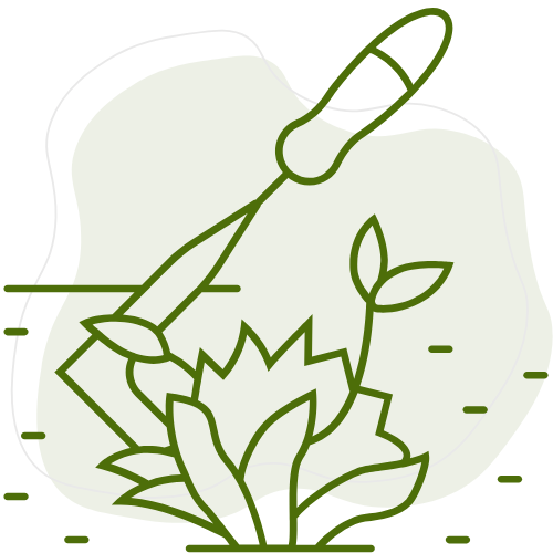 Désherbage et entretien des massifs par Créa Entretien Jardin à Bédarieux