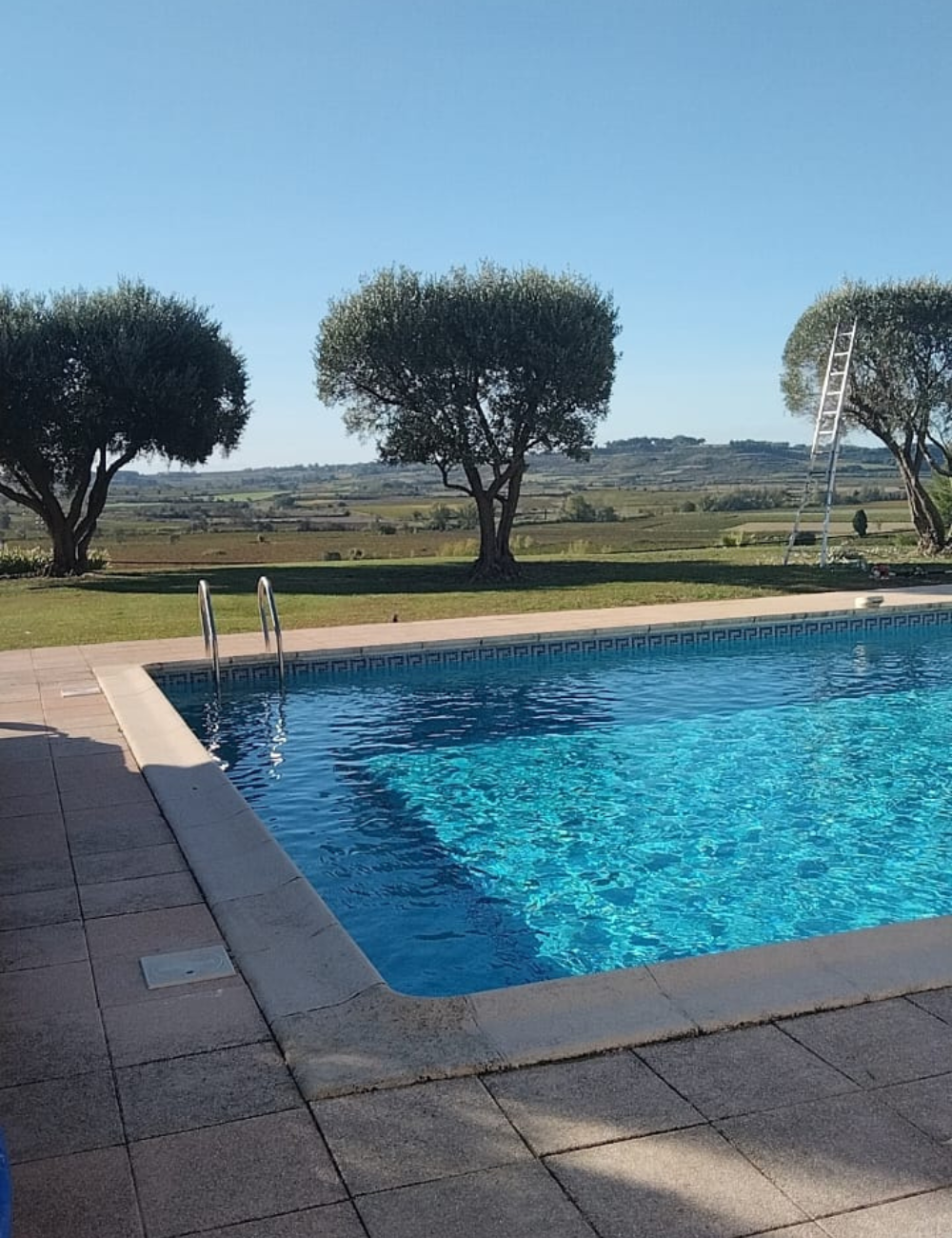 Entretien de votre jardin par Créa Entretien Jardin à Bédarieux
