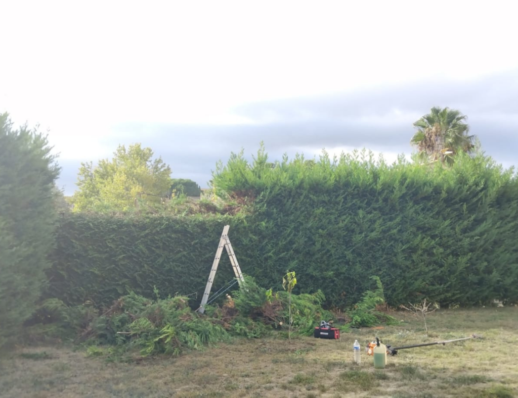 Rabattage de haie par votre paysagiste Créa'Entretien Jardin à Bédarieux
